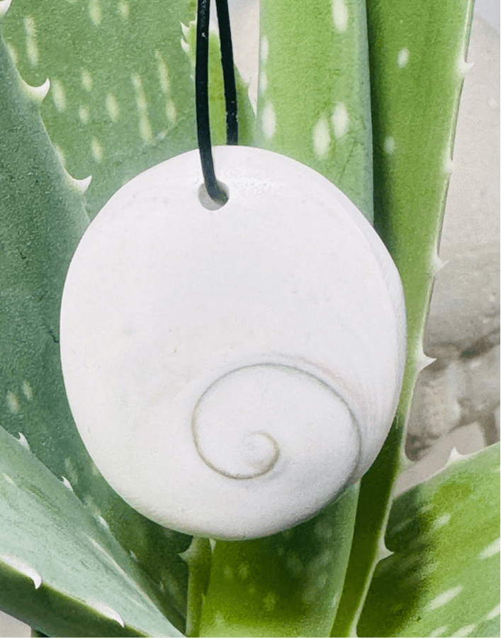 Shivas Eye Anhänger - Operculum - Kettenanhänger gebohrt