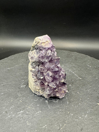 Amethyst Mini - Drusen - verschiedene Varianten. - Druse