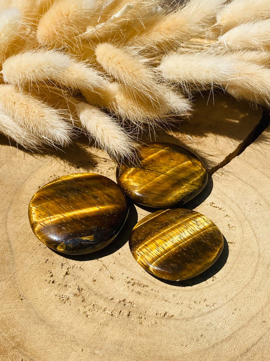 TIGER EYE disc stones 100+ grams